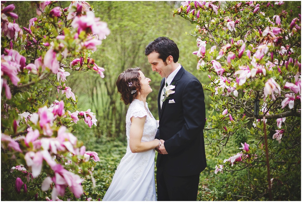 bloomington wedding photography, bride and groom in snuggling pink flowering trees at Morton Arboretum.