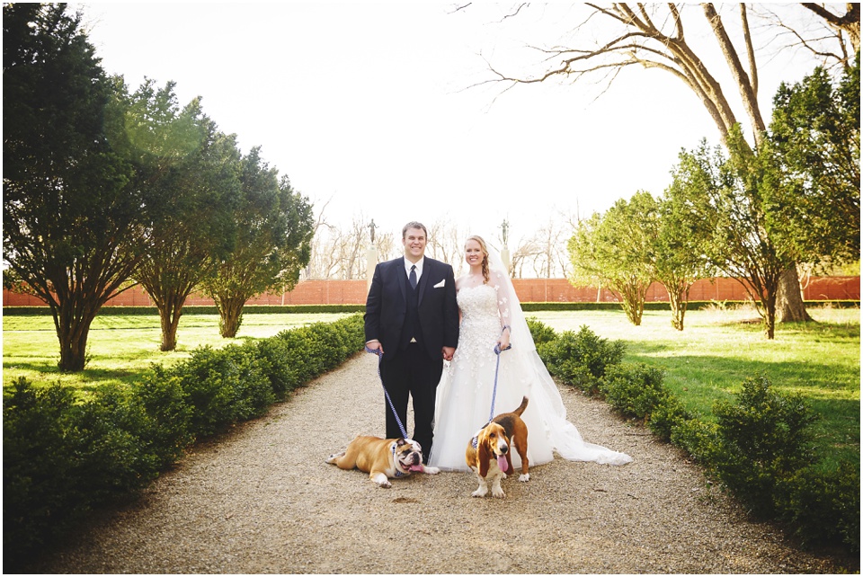 Bride and Groom with dogs at Allerton Park Wedding.
