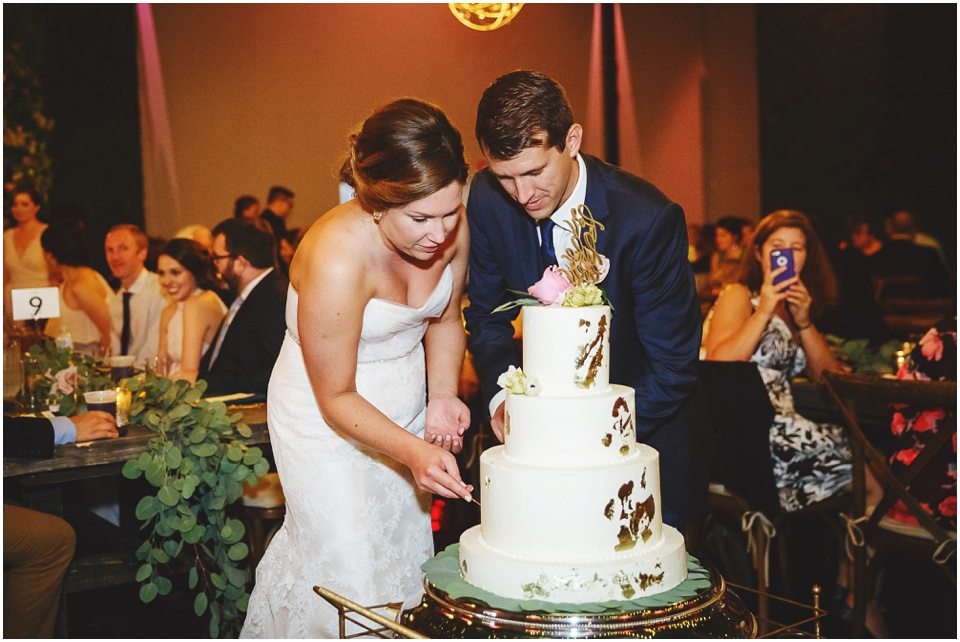 central illinois wedding photographer, Bloomington Illinois Wedding Reception Cake Cutting by Rachael Schirano