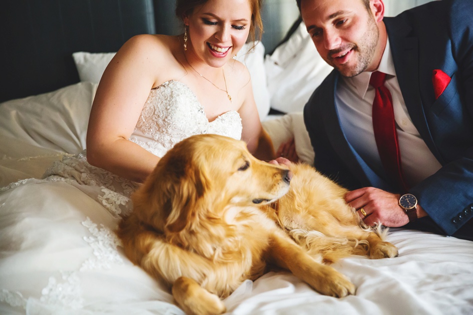 Springfield Illinois Wedding Photographer, bride and groom with pup portraits on wedding day