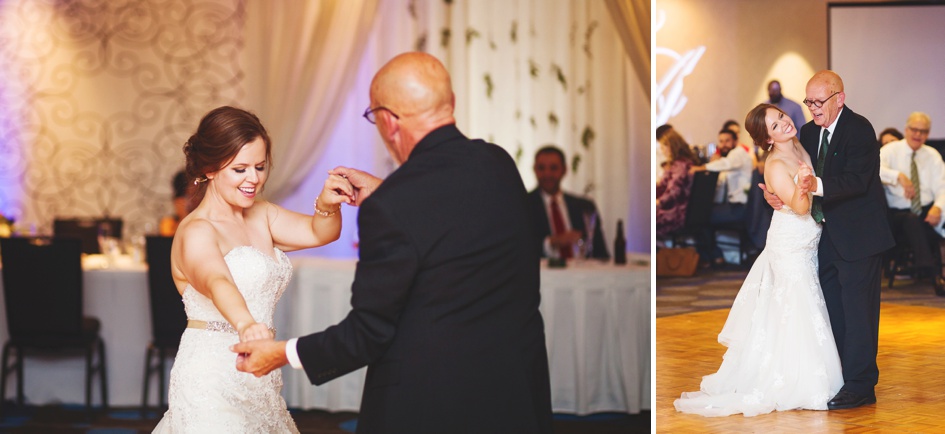 Springfield Illinois Wedding Photographer, central illinois wedding reception father daughter dance