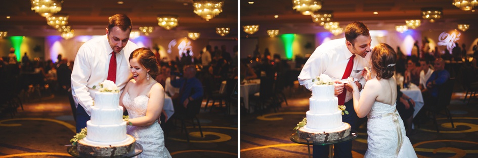 Springfield Illinois Wedding Photographer, central illinois wedding reception cake cutting