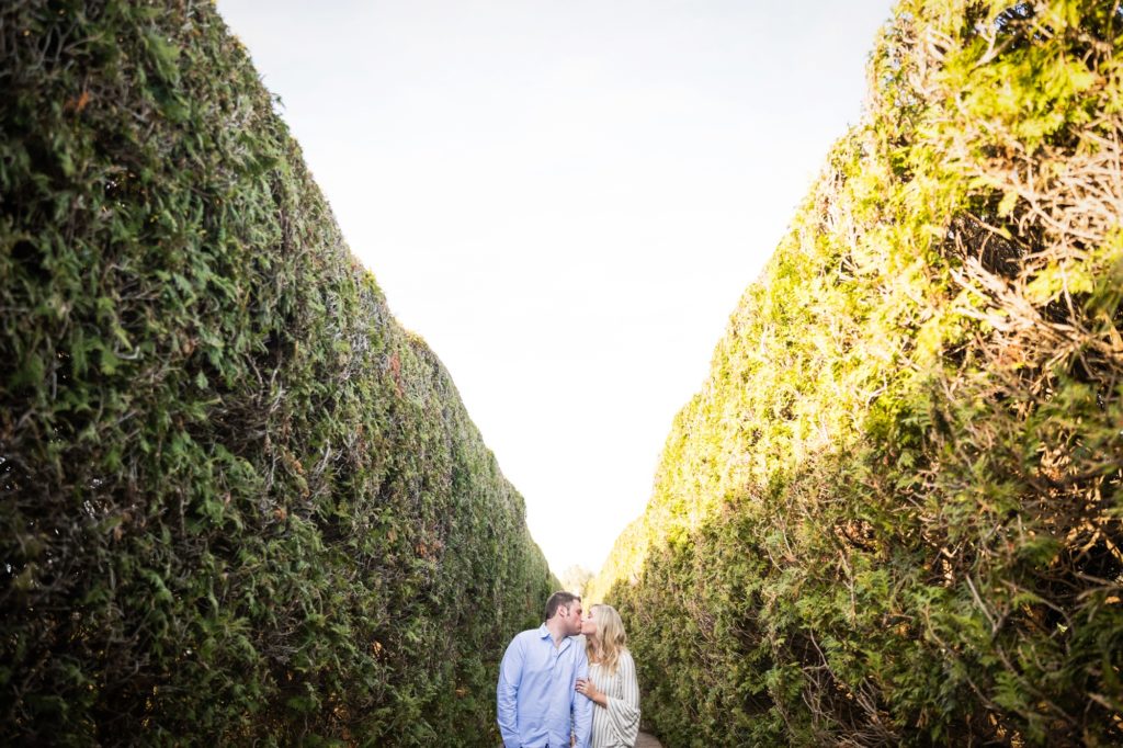 Champaign IL engagement session, Central Illinois engagement photographer, what to wear for your engagement session, pine tree engagement photos, couple's portraits, engaged couple, outdoor engagement