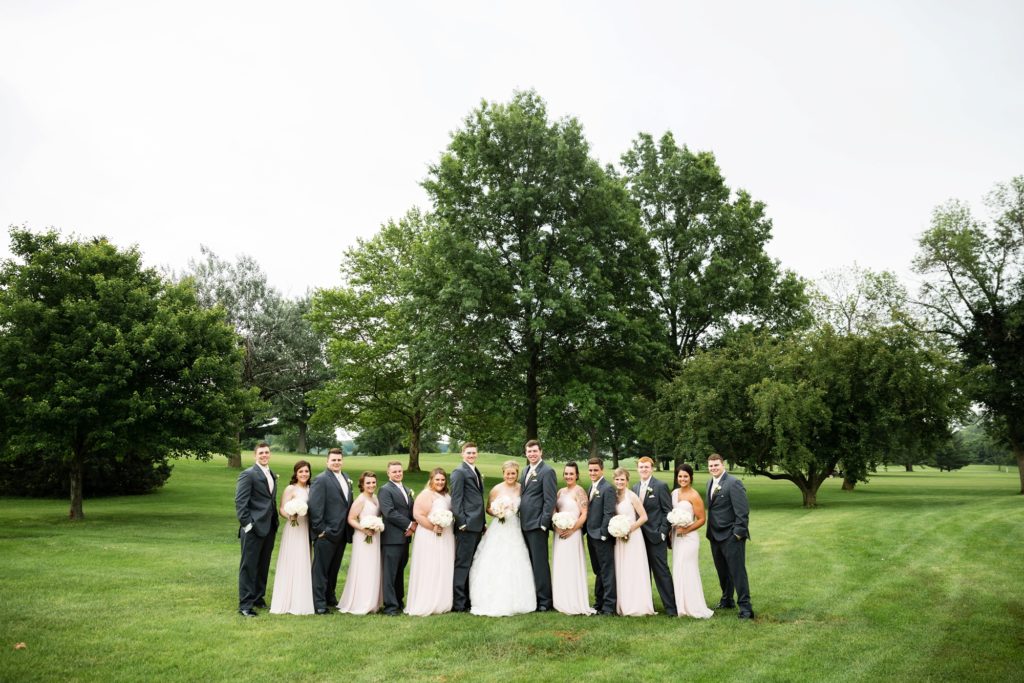 Bloomington IL wedding photographer, Central Illinois wedding photographer, Peoria IL wedding photographer, Champaign IL wedding photographer, pink and grey wedding colors, wedding party in a field, bridal party in a field