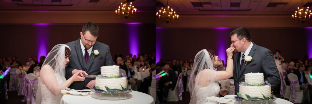 Bloomington IL wedding photographer, Central Illinois wedding photographer, Peoria IL wedding photographer, Champaign IL wedding photographer, winter wedding, grey white and purple wedding colors, cake cutting