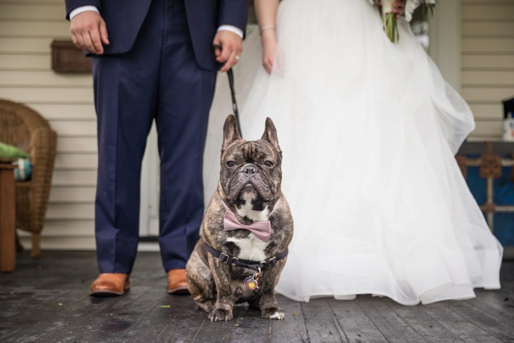 Bloomington IL wedding photographer, Central Illinois wedding photographer, Peoria IL wedding photographer, Champaign IL wedding photographer, blush pink and navy blue wedding colors, romantic wedding, bride and groom with dog