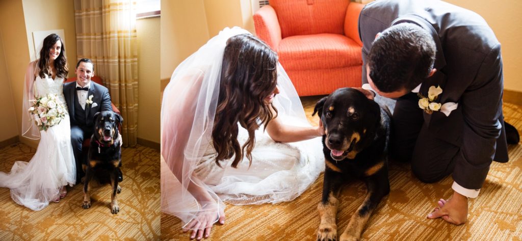 Bloomington IL wedding photographer, Central Illinois wedding photographer, Peoria IL wedding photographer, Champaign IL wedding photographer, wedding portraits with dog