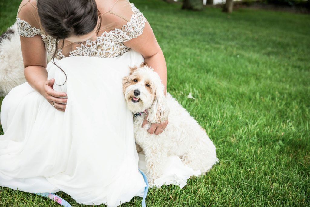 Bloomington IL wedding photographer, Central Illinois wedding photographer, Peoria IL wedding photographer, Champaign IL wedding photographer, Tuscany inspired wedding venue, blue and champagne wedding colors, lakeside wedding, vineyard wedding inspiration, bride and groom portraits, bride with dogs