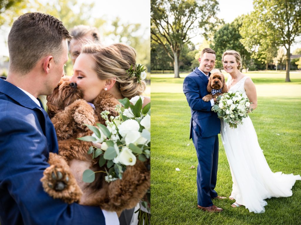 Bloomington IL wedding photographer, Central Illinois wedding photographer, Peoria IL wedding photographer, Champaign IL wedding photographer, purple and navy wedding colors, lavender and navy wedding colors, romantic wedding, wedding portraits, wedding portraits, bride and groom with dog portraits